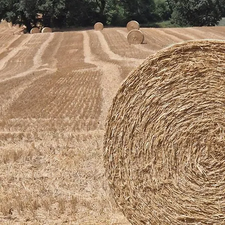 Séjour à la ferme La Corte Sul