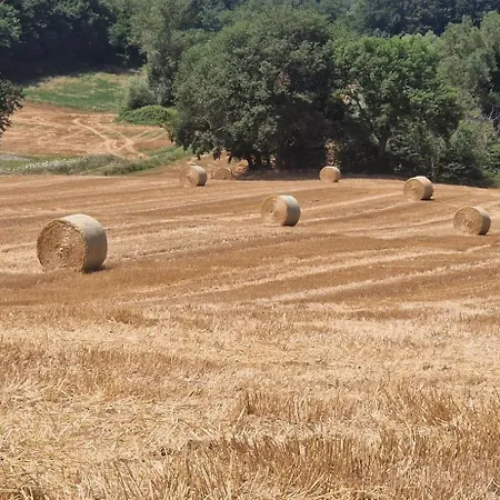 La Corte Sul Чинголи