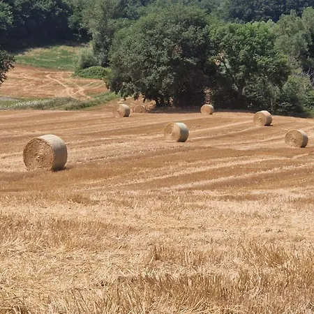 La Corte Sul Cingoli