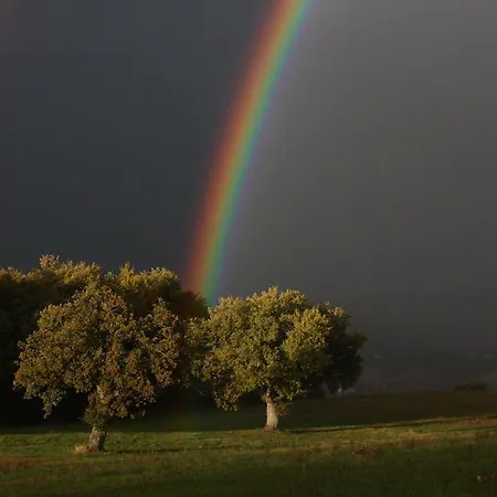 La Corte Sul Farma Cingoli
